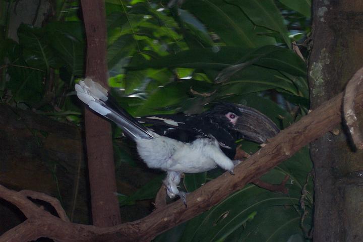 ab 060.jpg